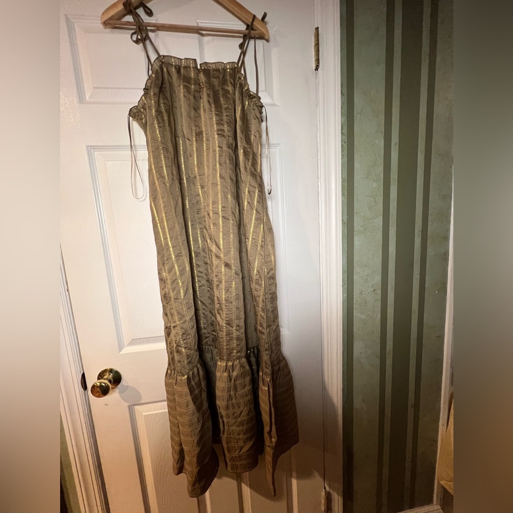 Zara Metallic Gold and Brown Dress